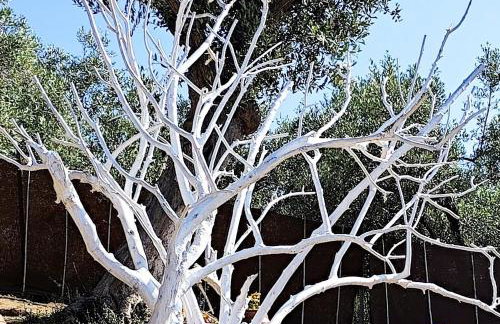 Cozy House with Amazing View and Unique Outdoor! - Foto 10