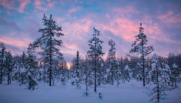 Levi Snowshoe Tour - Foto 3