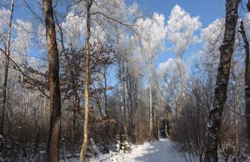 63qm im Eschachtal - Photo 27