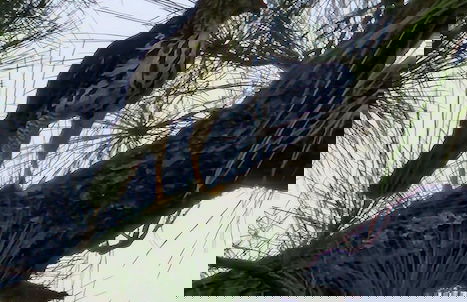 Cozy Apartment in the Center of Liberia With Beautiful View and 3 Bedrooms - Foto 19