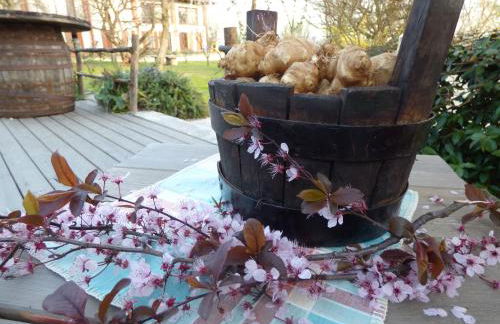 Agriturismo la Sforzata - Photo 17