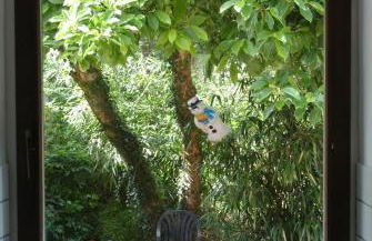 Ferienwohnung zur Mühle - Foto 24