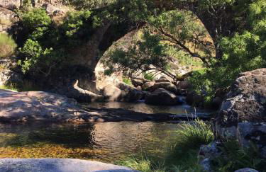 Loboratorio Rural-Cuenta hasta 3 - Foto 31