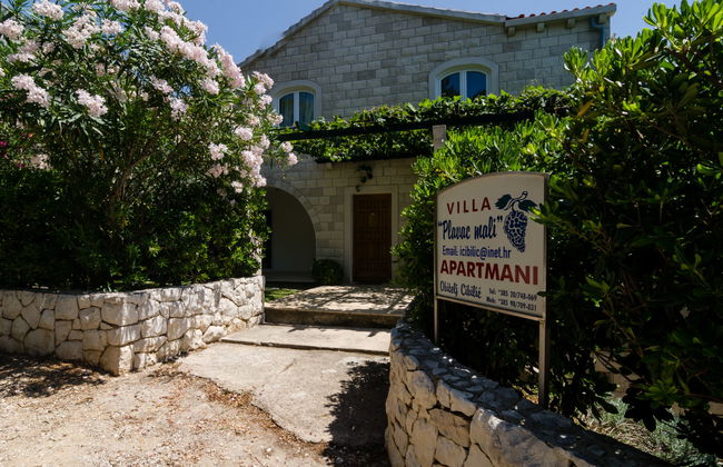 Plavac Mali - Foto 25