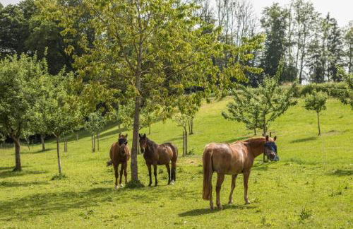 Hof Wagenberg Ferienwohnung 2 - Photo 20