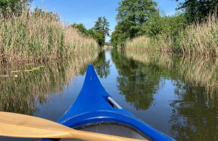 Teichland Linum Apartments - Photo 24