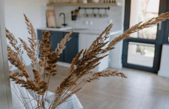 Agroturystyka u Marleny - Foto 21