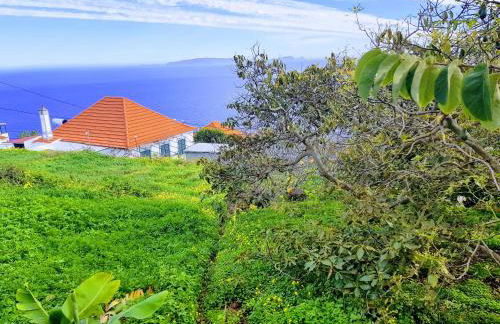 Paradise View - Foto 16