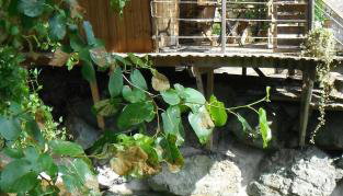 La Cabane du Bandit - Foto 2