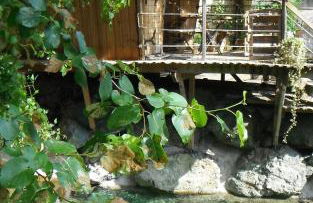 La Cabane du Bandit - Foto 2