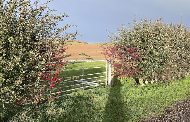 Poachers Hut 1-bed Cottage, Sleeps 2, Pet Friendly - Photo 22