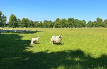 The Annexe Long Melford - Foto 47