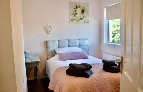 Cartref, 1860s family home. - Foto 24