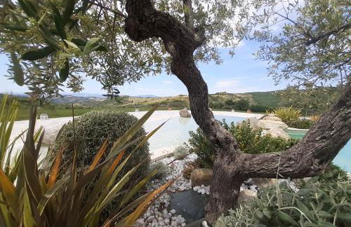 Fattoria La Pieve - Foto 17