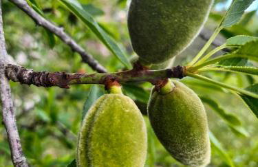 Apartman Hanna - Foto 30