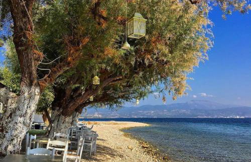 Μαρία 4 - Foto 21