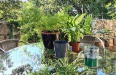 Villa Nevera - Photo 39