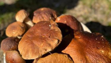 Apartament w Lipinkach - Foto 2