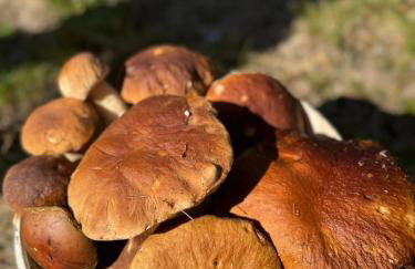 Apartament w Lipinkach - Foto 2