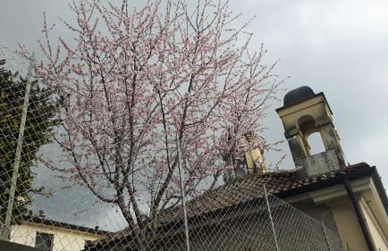 Casa vacanza Piazza Marconi - Foto 14