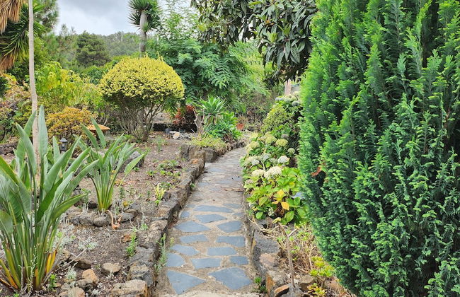 Oasis Hill Botanical Garden - Foto 56