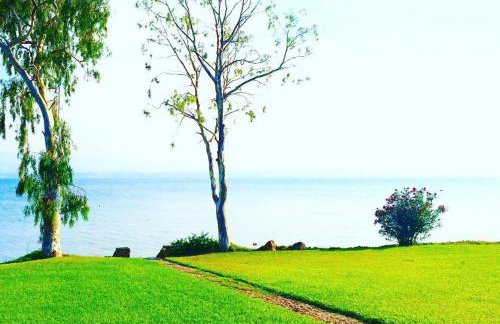 Architect designed house with pool and private beach - Photo 25