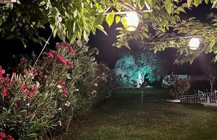 PargaLand Studios & Apartments - Photo 58