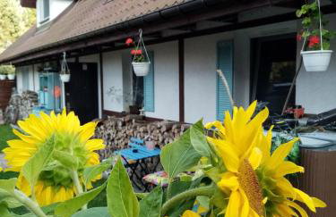 Cztery Pory Warmii Pluski pokoje do wynajęcia - Foto 4