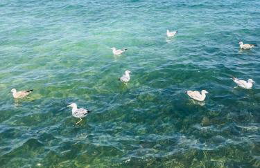 Apartments Villa Lora - Foto 70