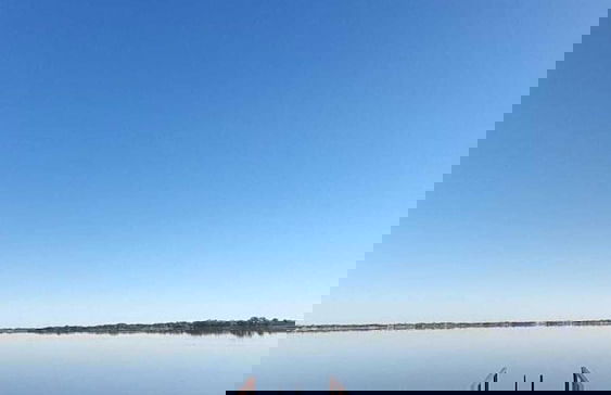 Olivos de Monte - Foto 59