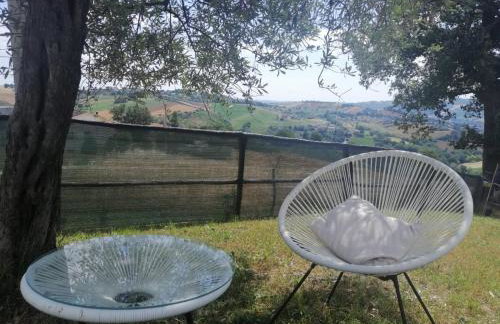 Casa degli Ulivi - Foto 7