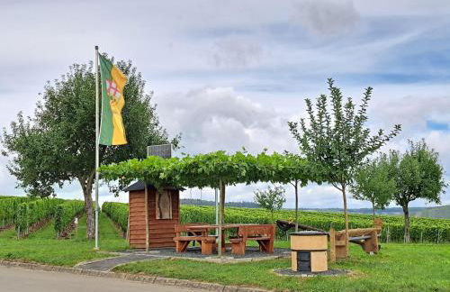 Wein- u. Gästehaus St. Maximin - Foto 14