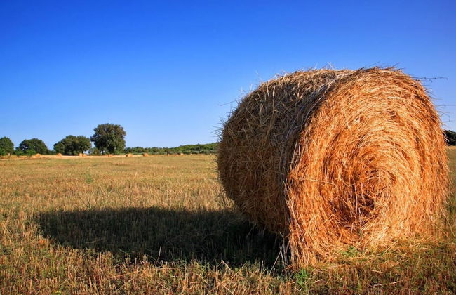 Agriturismo Valle Martina - Foto 89