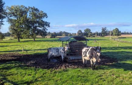 Gîte des champs étoilés - Photo 22