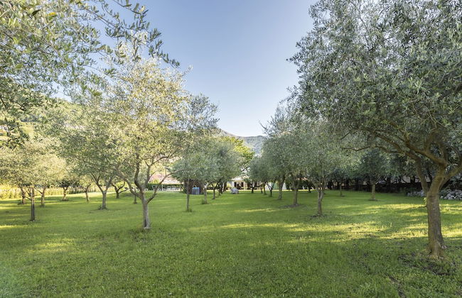 Agriturismo Ca' del Lago - Foto 64