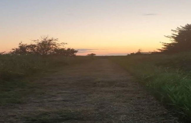 Seaside Serenity in Faldsled-by Traum - Foto 13