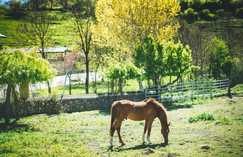 Intrepid Hotel Rural - Adults Only - Foto 23