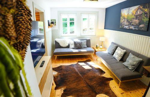 Ferienhaus Ottenhöfen - Sauna | Hot Tub - Foto 16