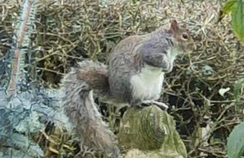 Lighthouse Lodge - Dog Friendly Nr Sutton on Sea - Photo 17