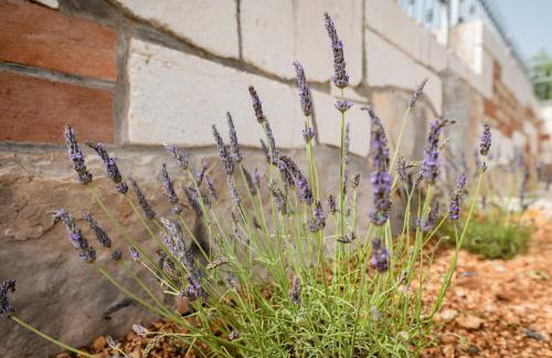 Didova kuća, Holiday home with Private pool near Rogoznica,Sleeps 9 - Foto 31