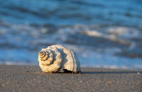 Luxury Home with Hot Tub & Outdoor Oasis blocks from the Beach - Foto 70