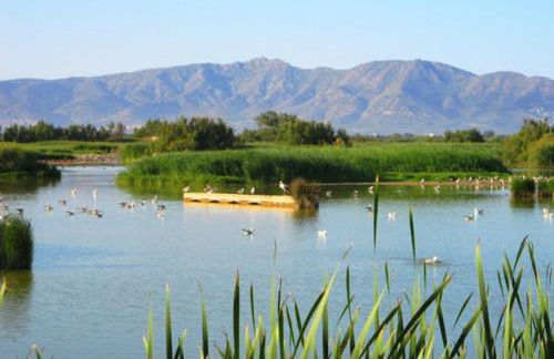 Magnolia l'Escala 2, casa con piscina y barbacoa a 100m de la playa - Foto 25