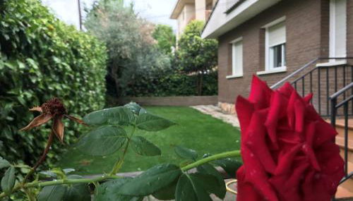 Chale a 25 minutos de Madrid cerca de Somosierra - Foto 2, Garden view