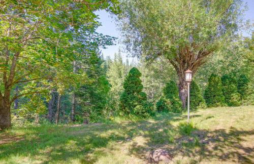 11 Acres of Adventure! Woodsy Mead Stay with Trails - Foto 27