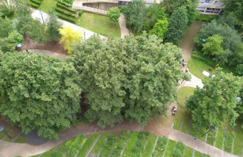 4 bedrooms, La Défense, 5 min walk to metro - Foto 21