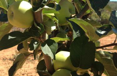 Mas de Leon - Foto 139