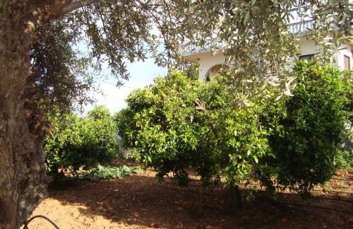 George's Apartments - Foto 21