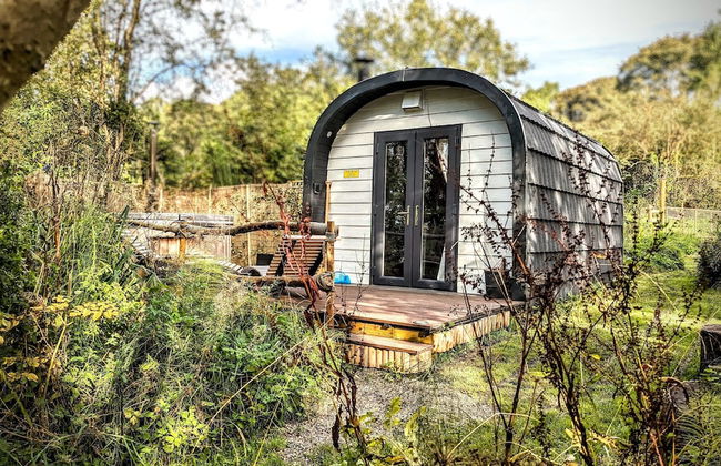 Emlyn's Coppice - Woodland Glamping - Foto 21