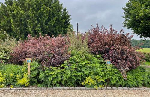 The Cabin - Photo 23