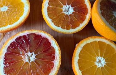 Arancello Apartment - Foto 1